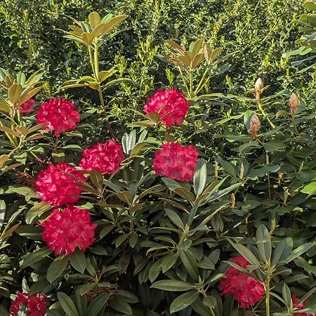 Zum Reiterhof, 2 * Schmogrow