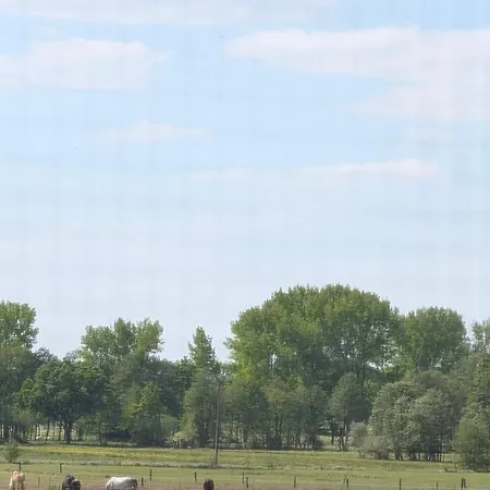 Apartamento Zum Reiterhof, 2