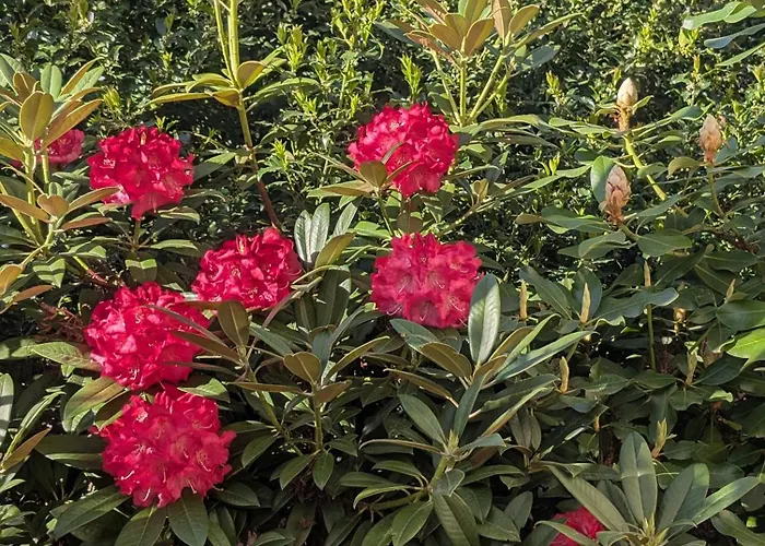 Zum Reiterhof, 2 * Schmogrow